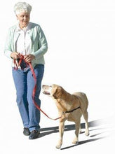 Load image into Gallery viewer, The Original Sense-ation No-Pull Dog Training Harness (Blue, Medium)