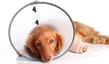 Load image into Gallery viewer, Remedy + Recovery E-Collar, Colors Vary (X-Large Clear)