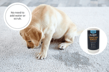 Load image into Gallery viewer, ALZOO Stain and Odor Remover Spray Citrus Vanilla