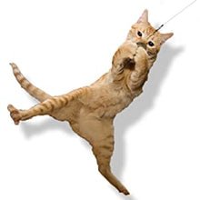 Load image into Gallery viewer, Go Cat Da Bird Cat Toy Refill Accessories, Da Wild Thing
