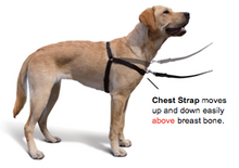 Load image into Gallery viewer, The Original Sense-ation No-Pull Dog Training Harness Medium/Large 1" Brown