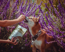 Load image into Gallery viewer, Mini PureBites Trainers Beef Liver
