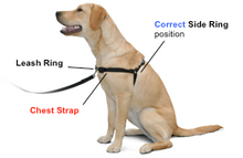 Load image into Gallery viewer, The Original Sense-ation No-Pull Dog Training Harness Medium Brown