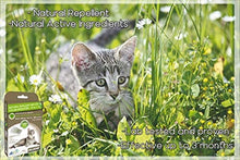 Load image into Gallery viewer, ALZOO Flea & Tick Repellent Squeeze-On for Cats - Pack of 3