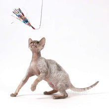 Load image into Gallery viewer, Go Cat Da Bird Cat Toy Refill Accessories, Sparkler