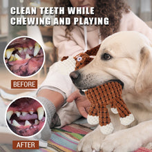 Load image into Gallery viewer, WOOZAPET Rope Neck Plush Dog Toys