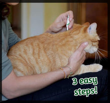 Load image into Gallery viewer, ALZOO Flea & Tick Repellent Squeeze-On for Cats - Pack of 3