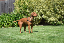 Load image into Gallery viewer, SENSE-ation® No-Pull Dog Harness