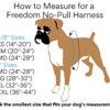 Load image into Gallery viewer, Freedom No-Pull Dog Harness