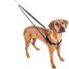 Load image into Gallery viewer, Freedom No-Pull Dog Harness