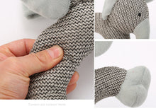 Load image into Gallery viewer, WOOZAPET Minimalist Dog Toy