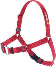 Load image into Gallery viewer, SENSE-ible® No-Pull Dog Harness
