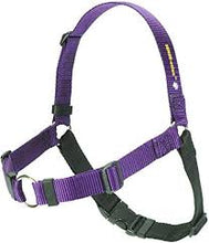 Load image into Gallery viewer, SENSE-ation® No-Pull Dog Harness