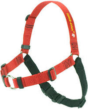 Load image into Gallery viewer, SENSE-ation® No-Pull Dog Harness