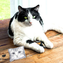 Load image into Gallery viewer, Go Cat Catnip Pillow Cat Toy