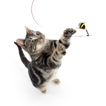 Load image into Gallery viewer, Go Cat Da Bee Cat & Kitten Wand Toy