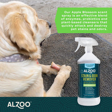 Load image into Gallery viewer, ALZOO Stain and Odor Remover Spray Apple Blossom