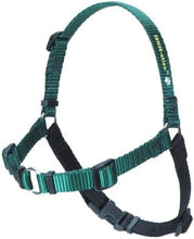 Load image into Gallery viewer, SENSE-ation No-Pull Dog Harness X-Small, Green