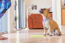 Load image into Gallery viewer, LickiMat Classic Soother Slow Feeder for Dogs Turquoise