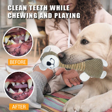 Load image into Gallery viewer, WOOZAPET Long Neck Sillies Plush Dog Toy with Squeaker