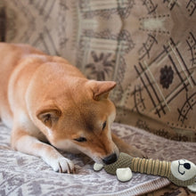 Load image into Gallery viewer, WOOZAPET Long Neck Sillies Plush Dog Toy with Squeaker