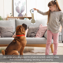 Load image into Gallery viewer, WOOZAPET Long Neck Sillies Plush Dog Toy with Squeaker