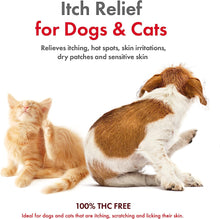 Load image into Gallery viewer, Petkin CBD Pet Itch Spray Calming Lavender