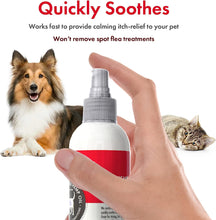 Load image into Gallery viewer, Petkin CBD Pet Itch Spray Calming Lavender
