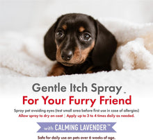 Load image into Gallery viewer, Petkin CBD Pet Itch Spray Calming Lavender