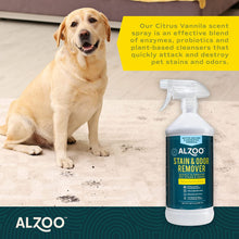 Load image into Gallery viewer, ALZOO Stain and Odor Remover Spray Citrus Vanilla