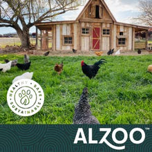 Load image into Gallery viewer, ALZOO My Fresh Coop - Evergreen Chicken Coop Deodorizer 26oz.