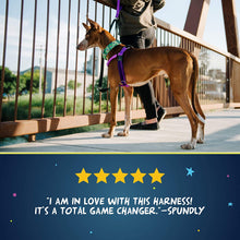 Load image into Gallery viewer, Freedom No-Pull Dog Harness Neon Green