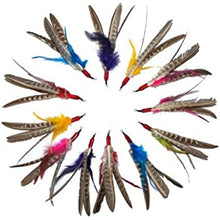 Load image into Gallery viewer, Go Cat Da Bird Cat Toy Refill Accessories, Da Bird