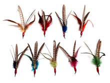 Load image into Gallery viewer, Go Cat Da Bird Rod and Feather Cat Toy, Handmade in The USA (1 Bird)