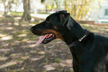 Load image into Gallery viewer, Drop Collar Reflective Nylon Dog Collar with Patent Pending Upright Leash Connection Point