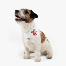 Load image into Gallery viewer, Todos Somos Satos - Pet Bandana Collar