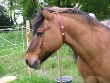 Load image into Gallery viewer, ALZOO Natural Herbal Fly Collar for Horses