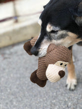 Load image into Gallery viewer, Minimalist-Dog-Toy.jpg