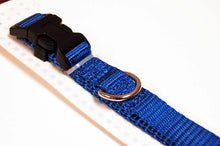 Load image into Gallery viewer, Jelly-Gear-Nylon-Dog-Collar.jpg