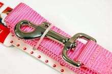 Load image into Gallery viewer, Jelly-Gear-Nylon-Dog-Collar.jpg