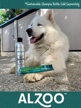 Load image into Gallery viewer, ALZOO Sustainable Concentrated Powder Shampoo Pouch - 40gr