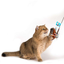 Load image into Gallery viewer, Go Cat 18" Sparkling Kitty Duster Cat Toy