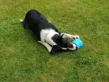 Load image into Gallery viewer, West Paw Zogoflex Toppl Treat Dispensing Dog Toy Puzzle X-Large Aqua Blue