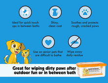 Load image into Gallery viewer, Petkin Paw Wipes Plus, 100 Orange Scented Wipes
