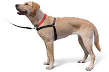 Load image into Gallery viewer, The Original Sense-ation No-Pull Dog Training Harness Medium Brown
