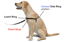 Load image into Gallery viewer, The Original Sense-ation No-Pull Dog Training Harness Medium/Large 1&quot; Brown
