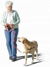 Load image into Gallery viewer, The Original Sense-ation No-Pull Dog Training Harness (Blue, Medium-Large 1&quot;)
