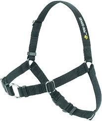 SENSE-ible® No-Pull Dog Harness