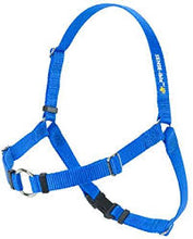 Load image into Gallery viewer, SENSE-ible® No-Pull Dog Harness
