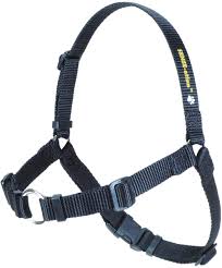 SENSE-ation® No-Pull Dog Harness